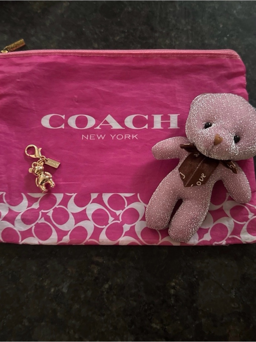 COACH Pouch with 3D Teddy Charm